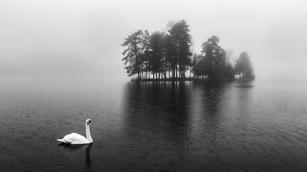 Photograph by Alla Fedina