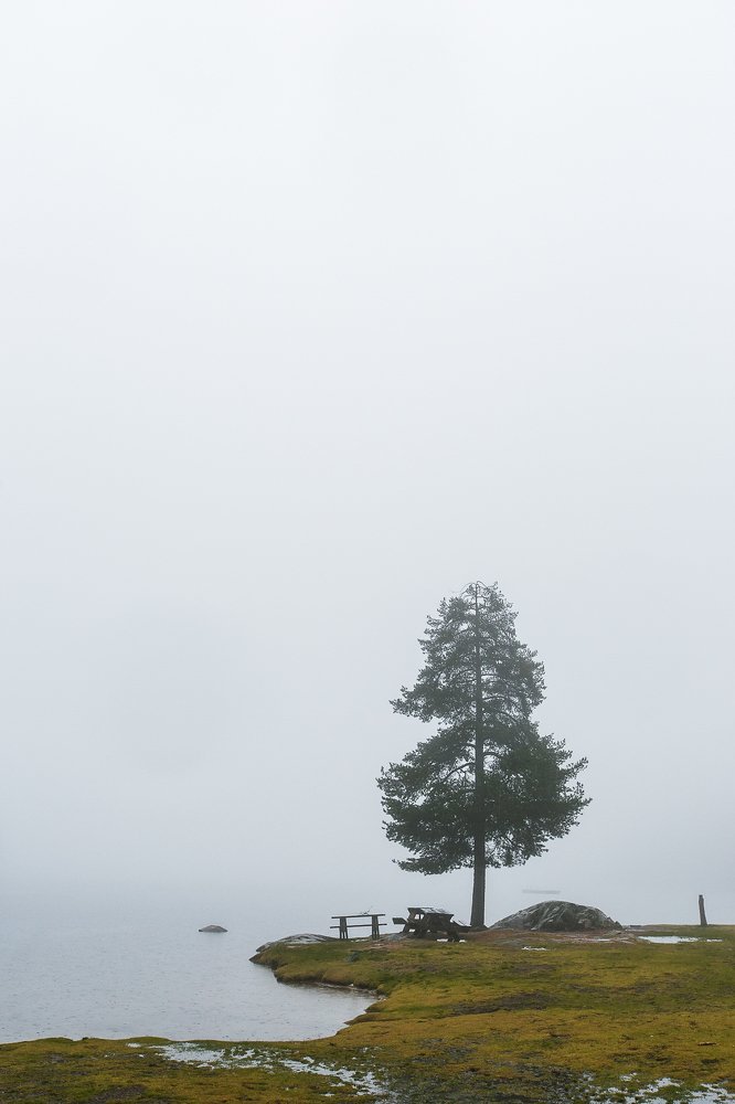 Photograph by Alla Fedina