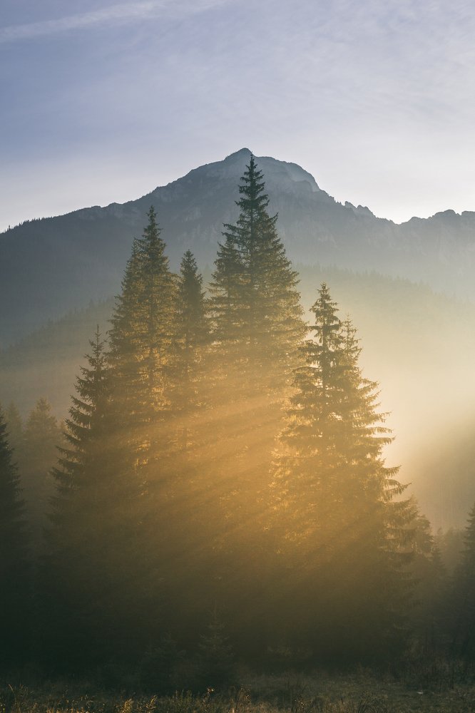 Photograph by Błażej Krzyżanek