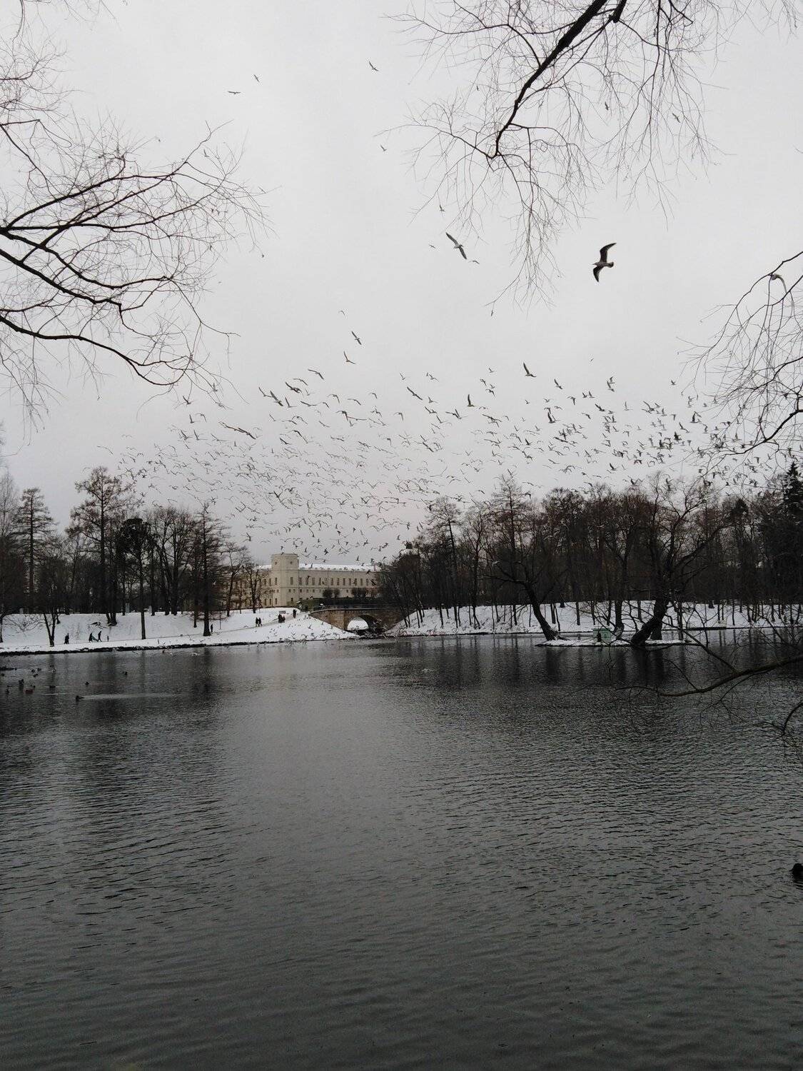 Photo #4685192