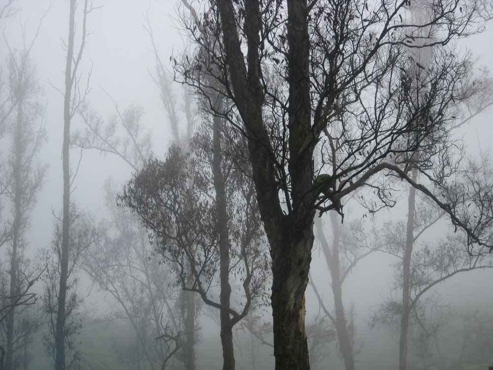 Photograph by Alejandra Collarte