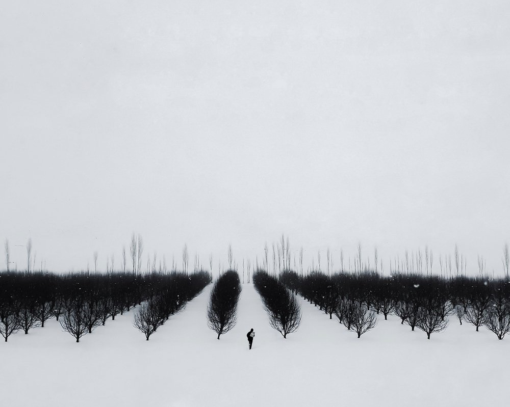 Фотография автора Alipour mohammad