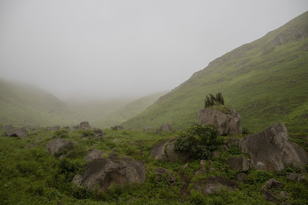 Photograph by Alejandra Collarte