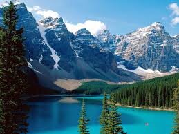 Photo #4685259
