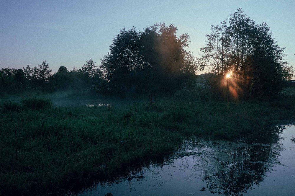 Фотография автора Полина Лебедева