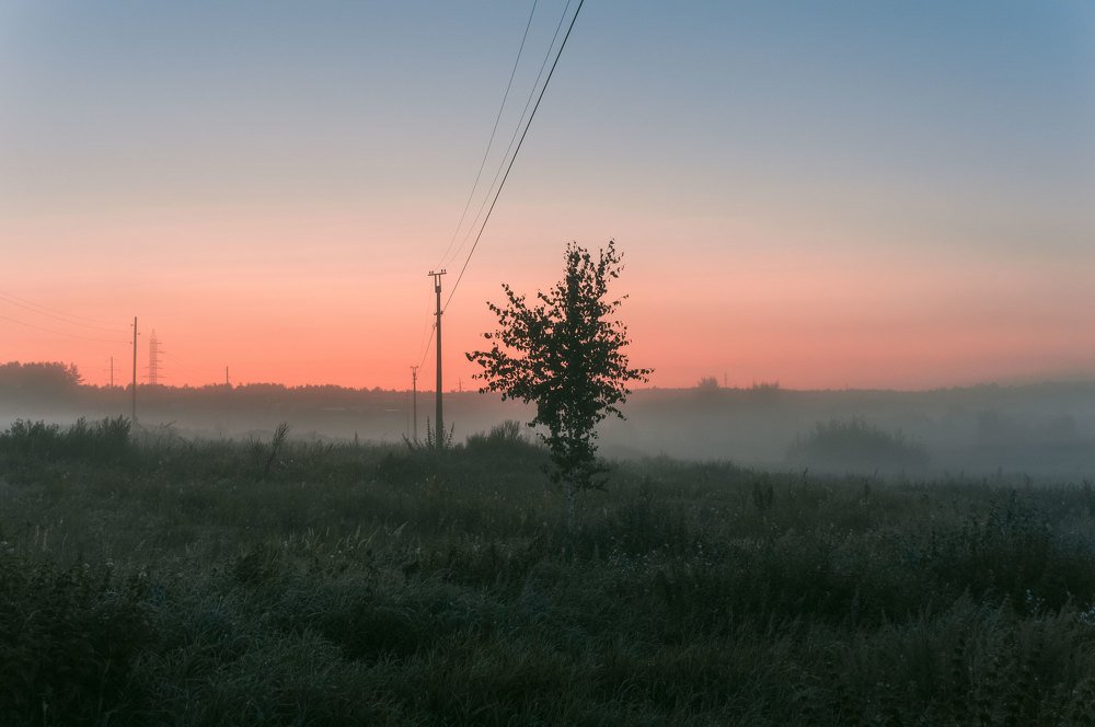 Фотография автора Полина Лебедева