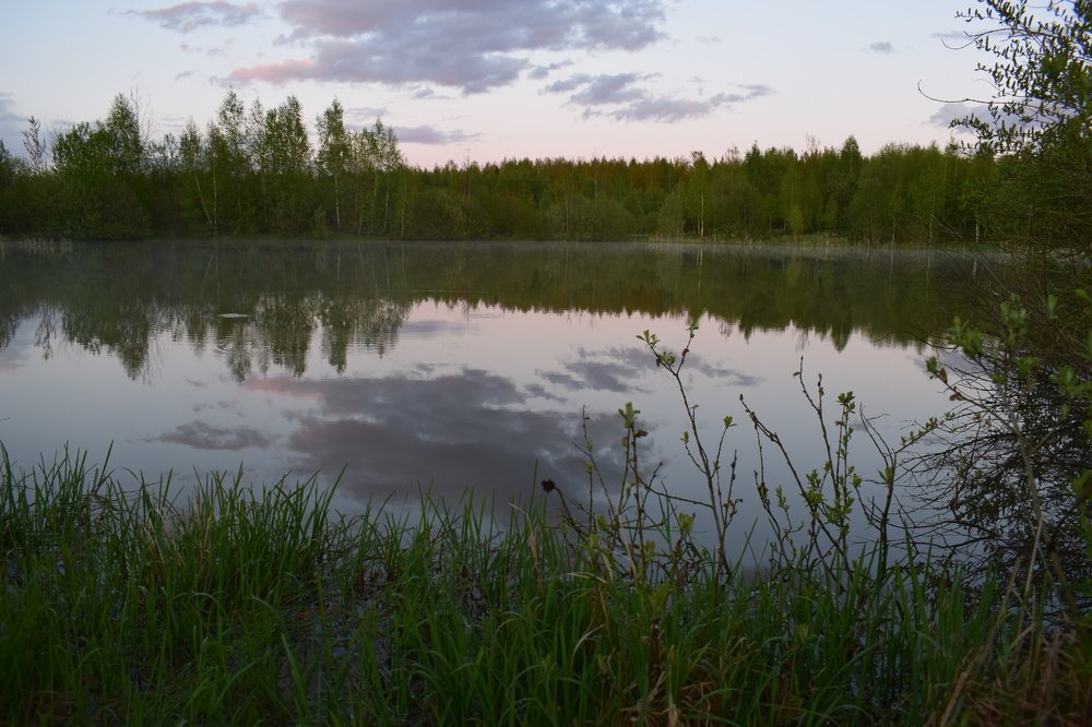 Photograph by Дарья