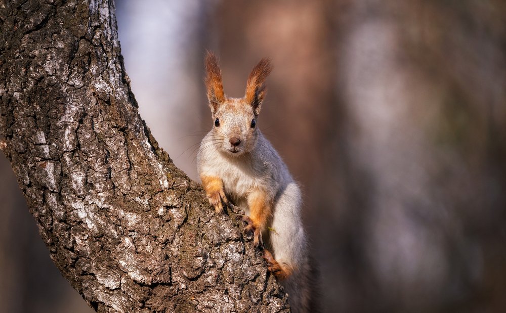 Photograph by Владимир Харук