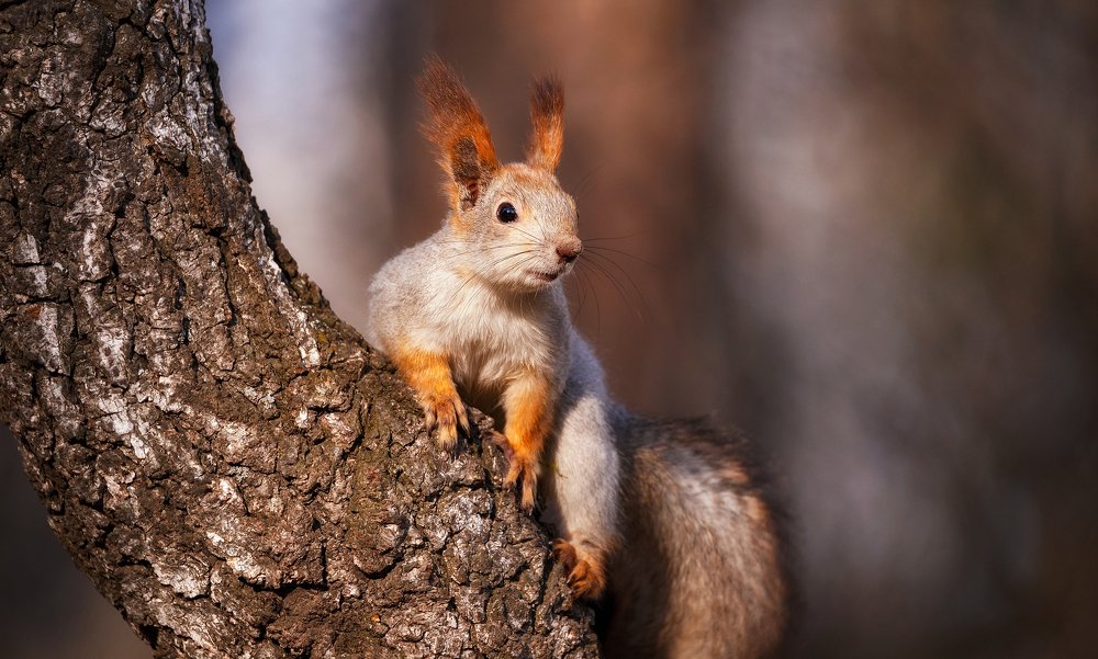 Photograph by Владимир Харук