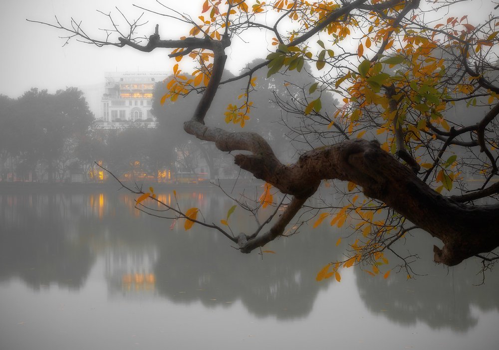 Photograph by Boris Bekelman