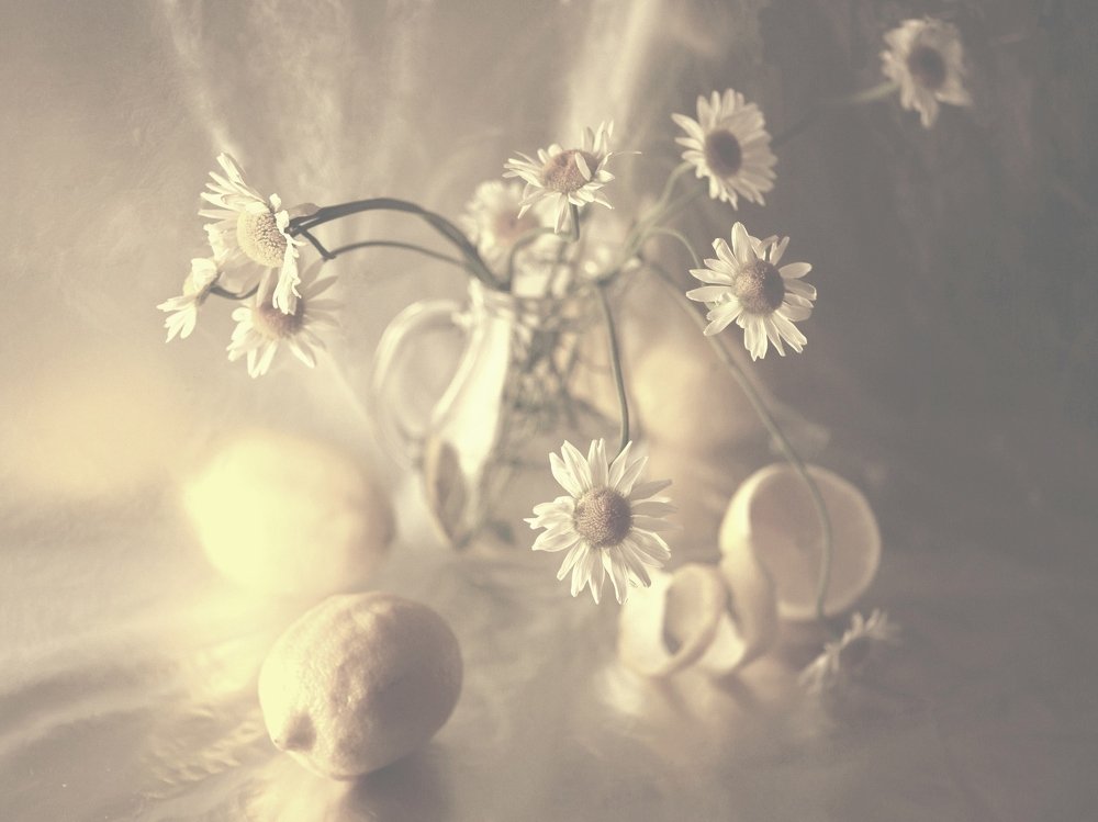 Photograph by Natalia Shilova