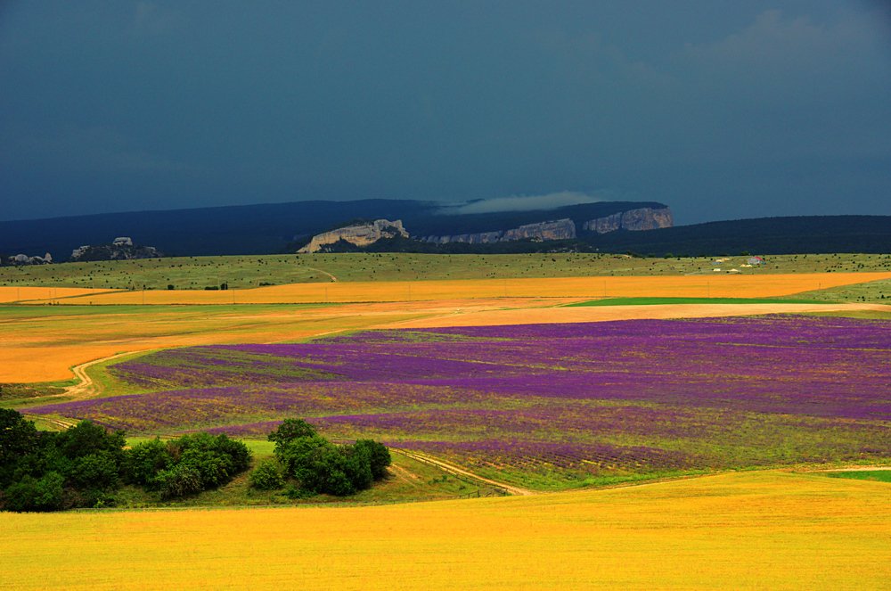 Photograph by AlexSa