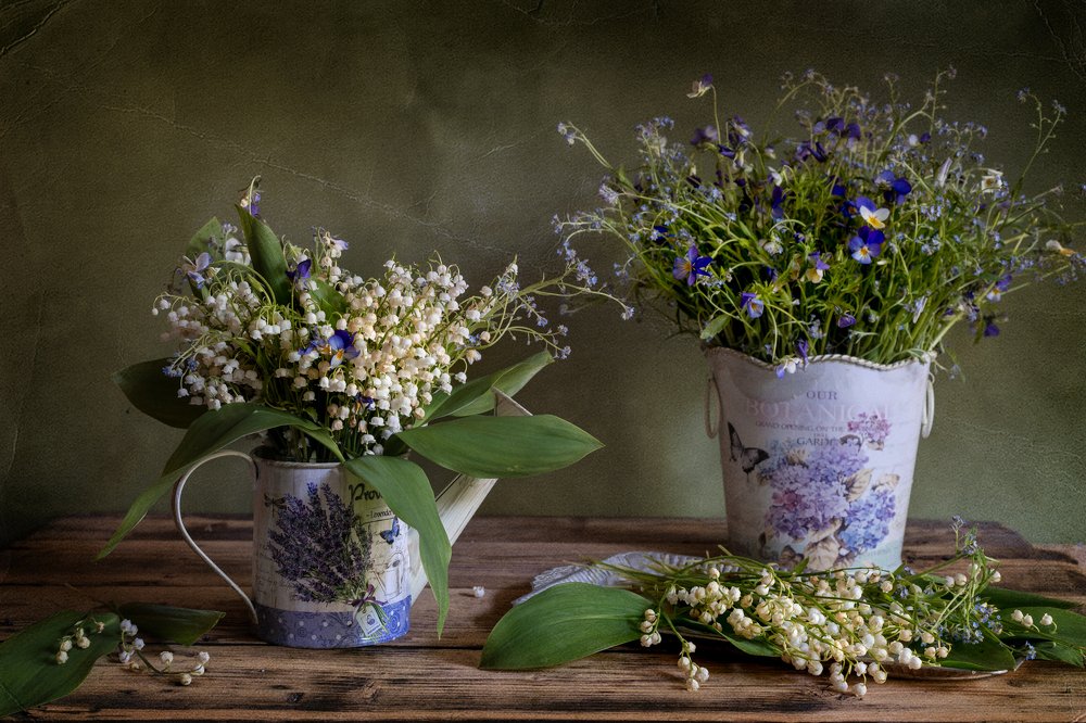 Photograph by Елизавета Шавардина