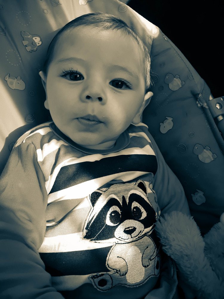 Photo #4685530