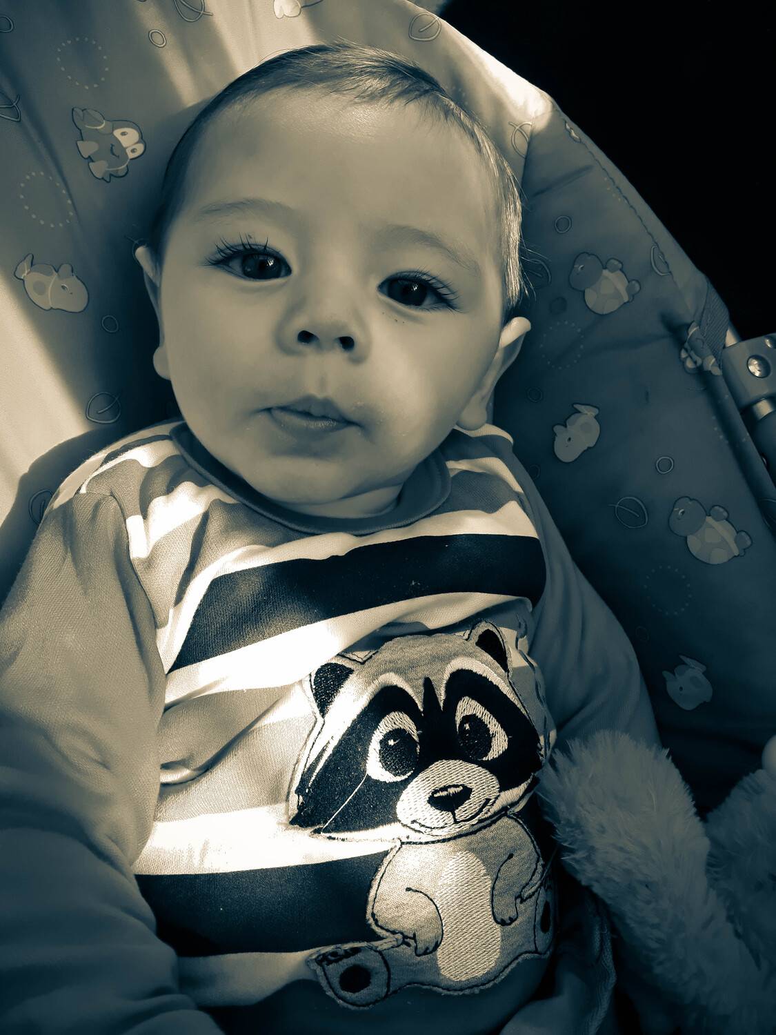 Photo #4685530