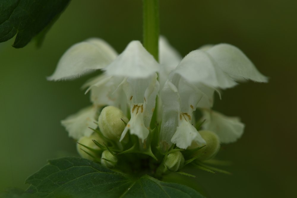 Photograph by Семен Батов