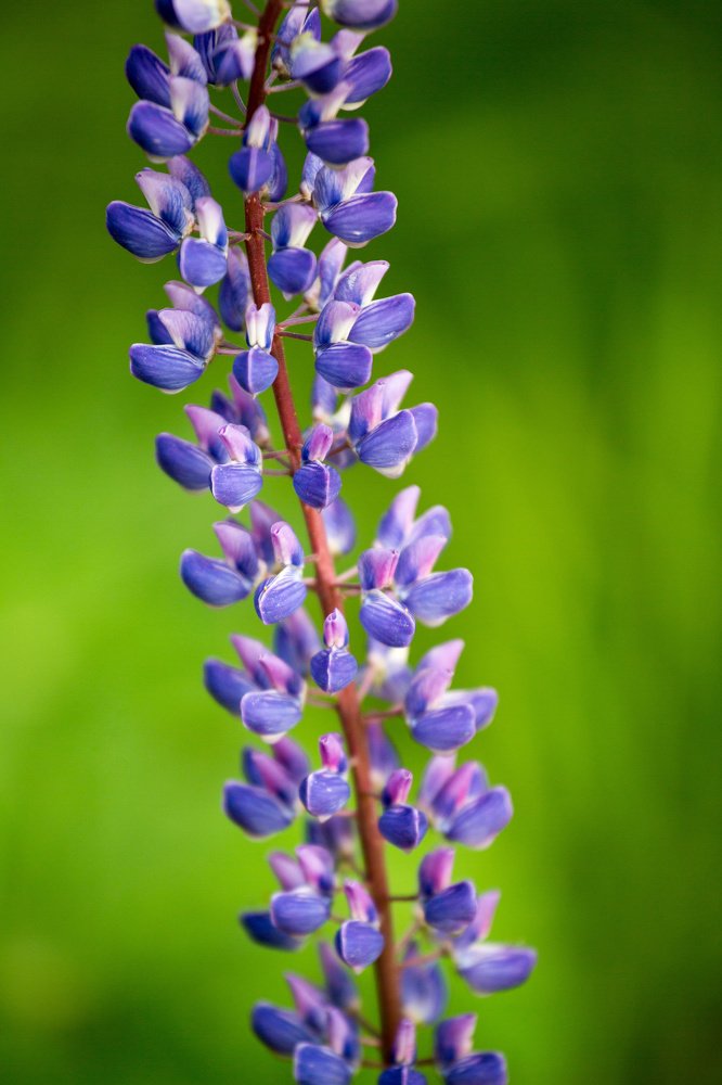 Photograph by Степан Кравченко