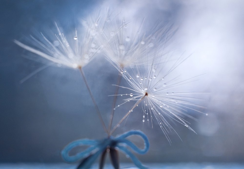 Photograph by Ольга Литвинова