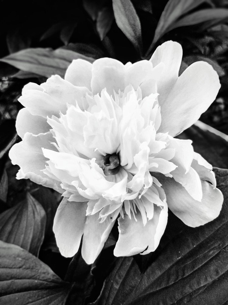 Photograph by Юрий Савенко