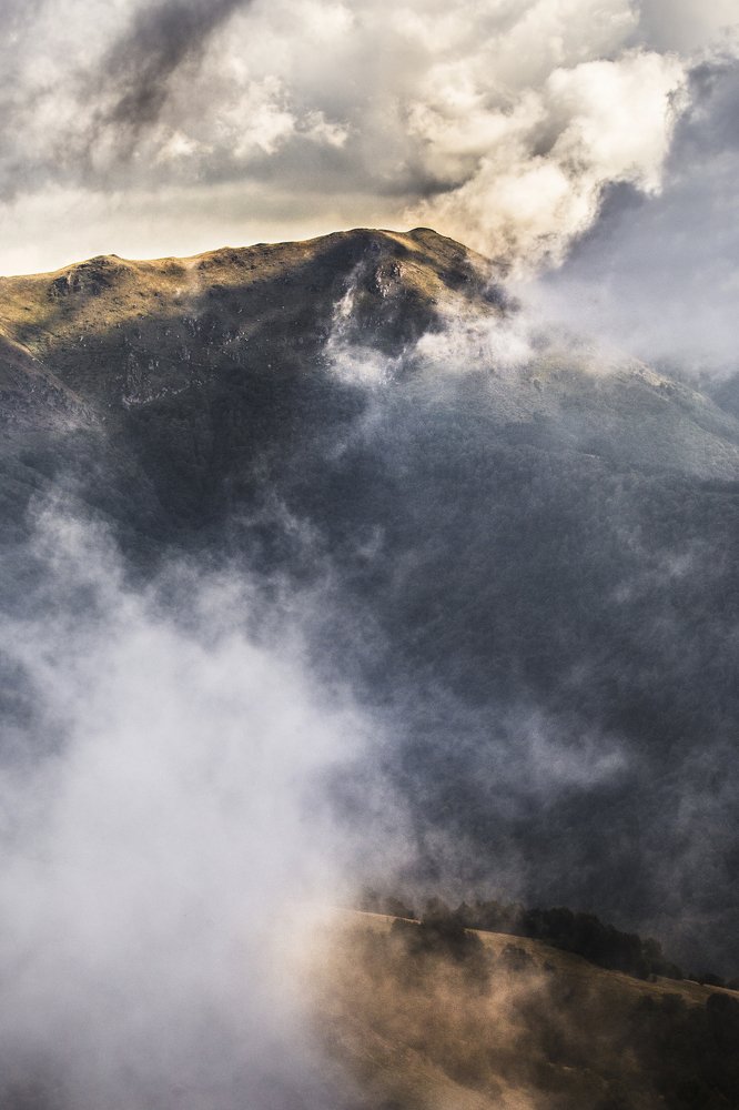 Photograph by Jelena Potrebic