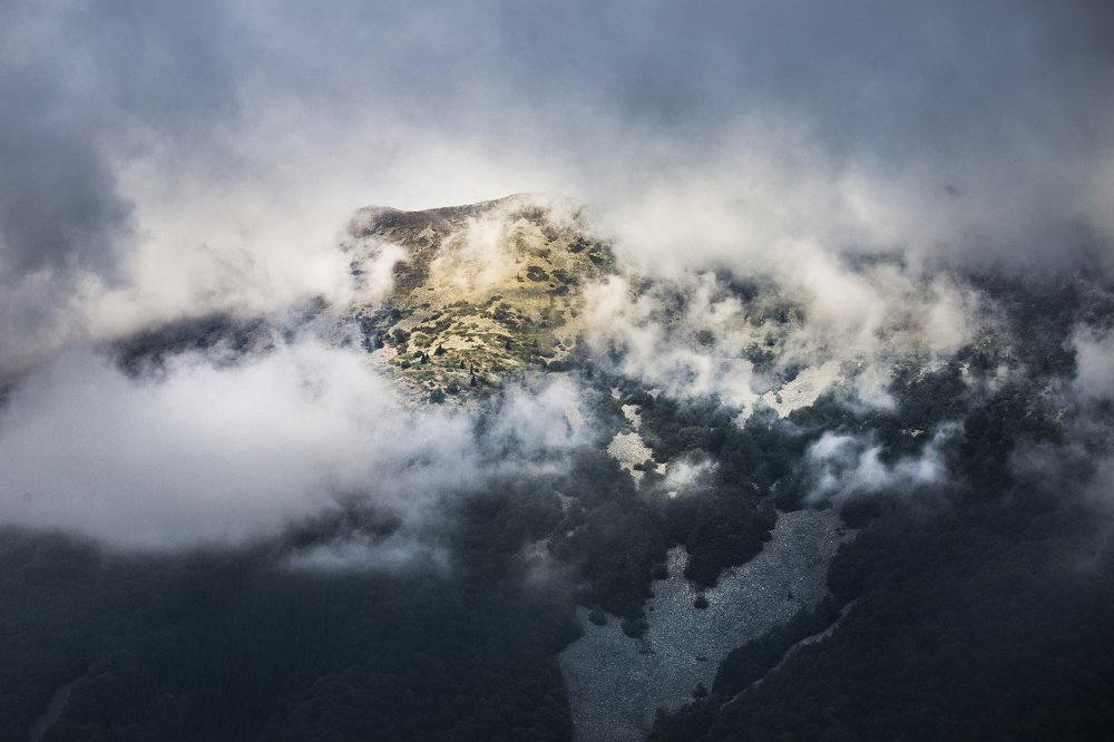 Photograph by Jelena Potrebic