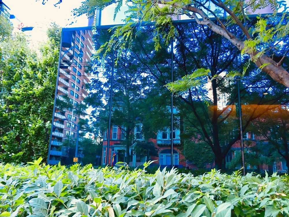 Photograph by Владимир Молостов