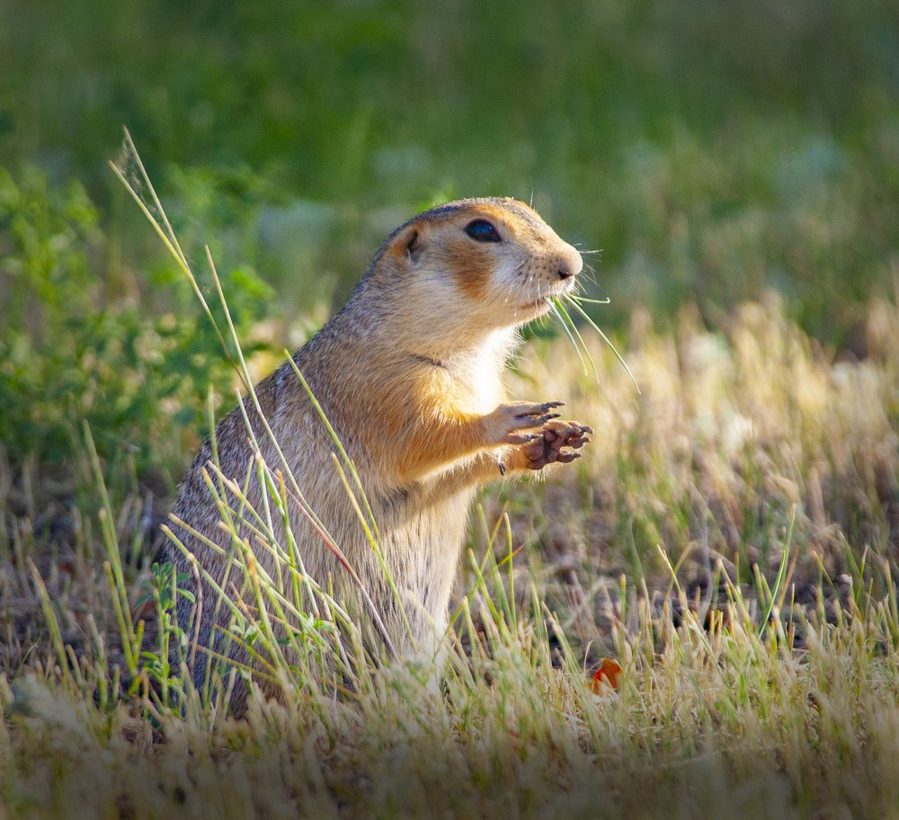 Photograph by петр чиков