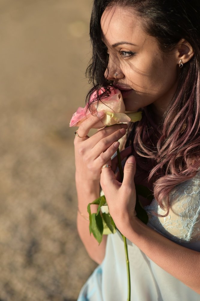 Чайная роза