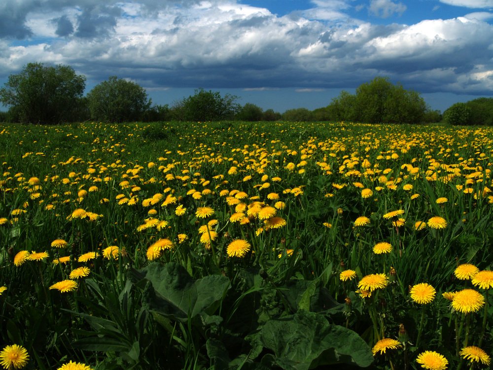 Photograph by Андрей