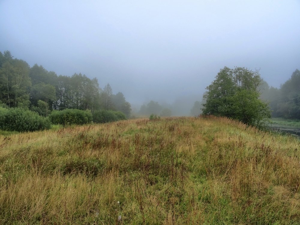 Photograph by Бочкарев Денис Александрович