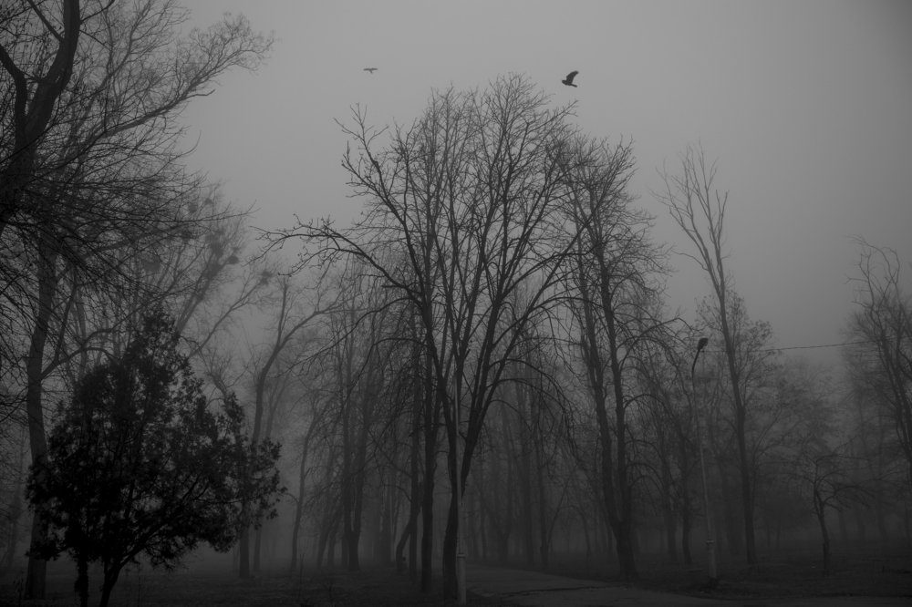 Photograph by Иван Доможирский