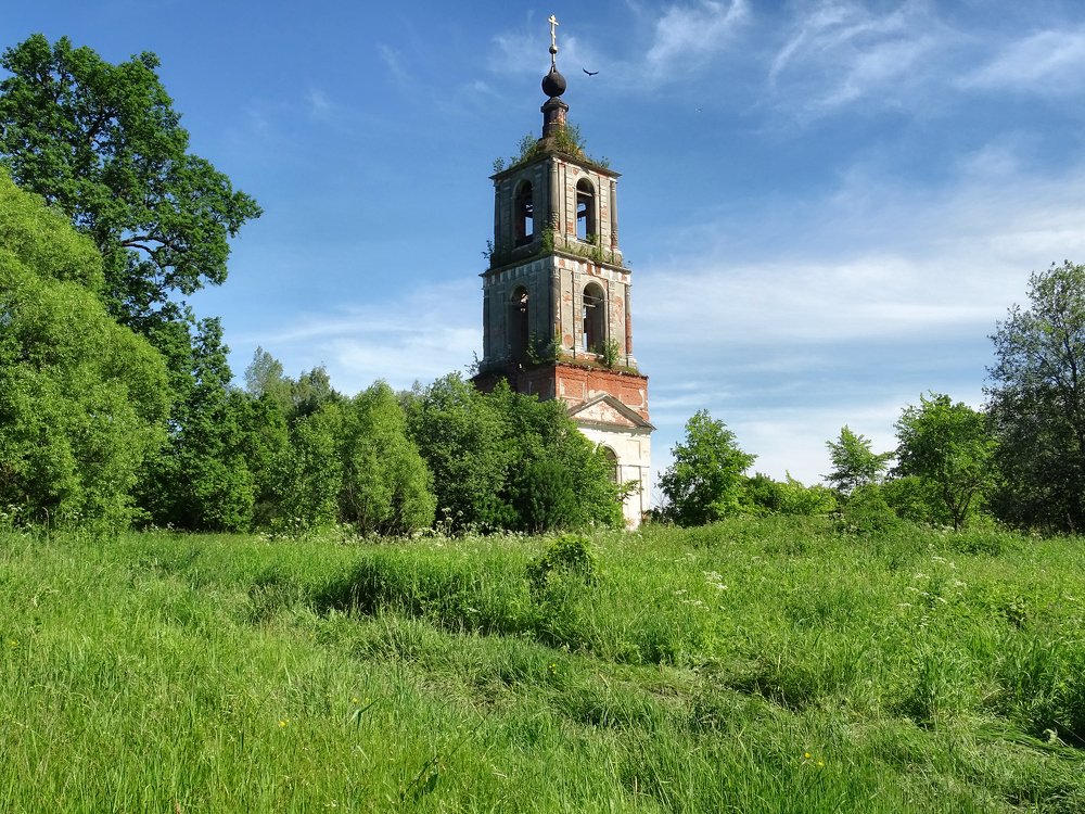 Урочище Аргуново. Колокольня церкви Николая Чудотворца.