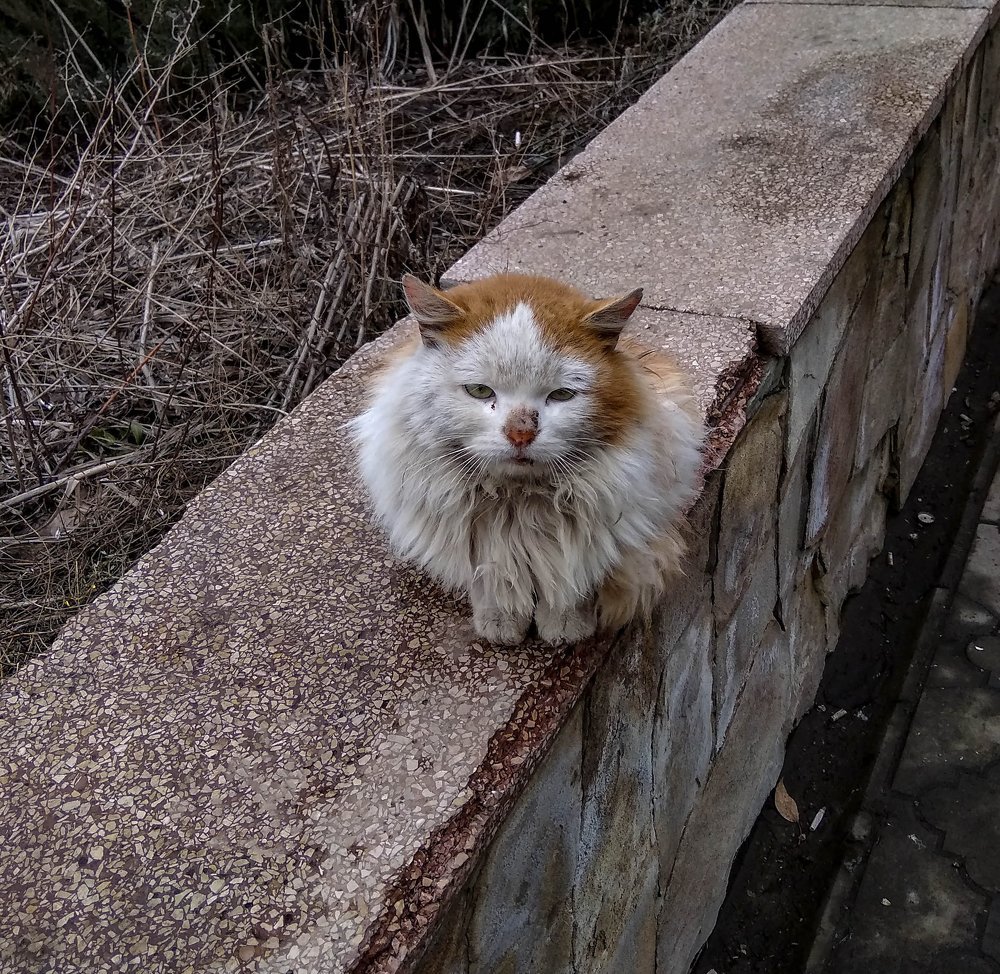 Photograph by Виталий Талисман