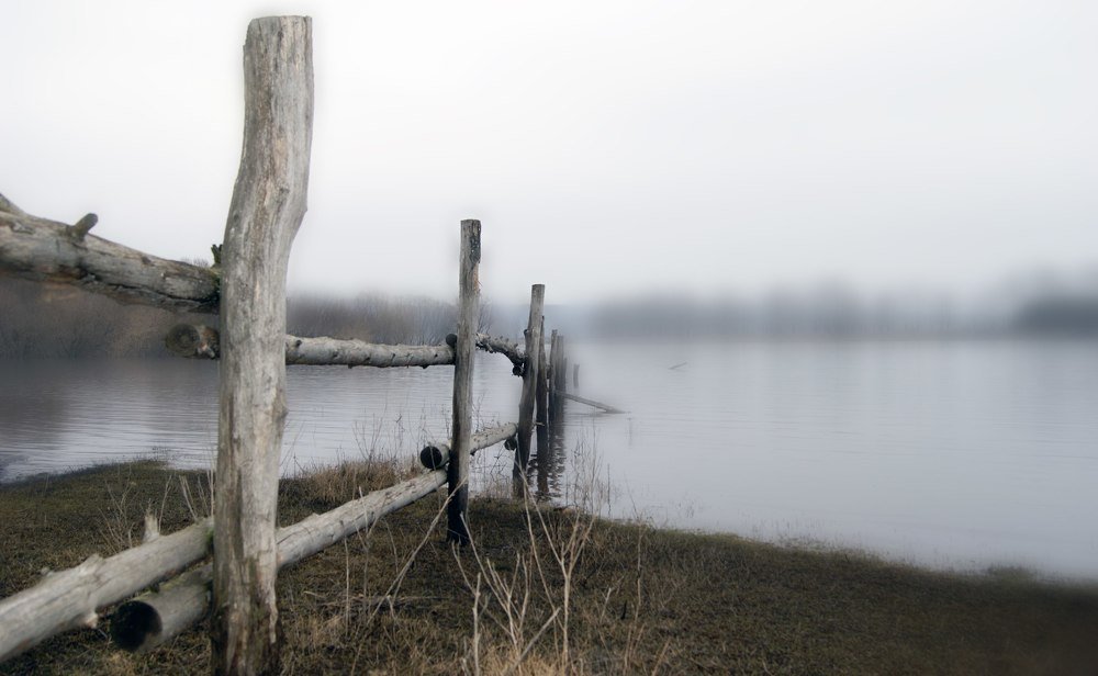 Фотография автора Михаил Назаров