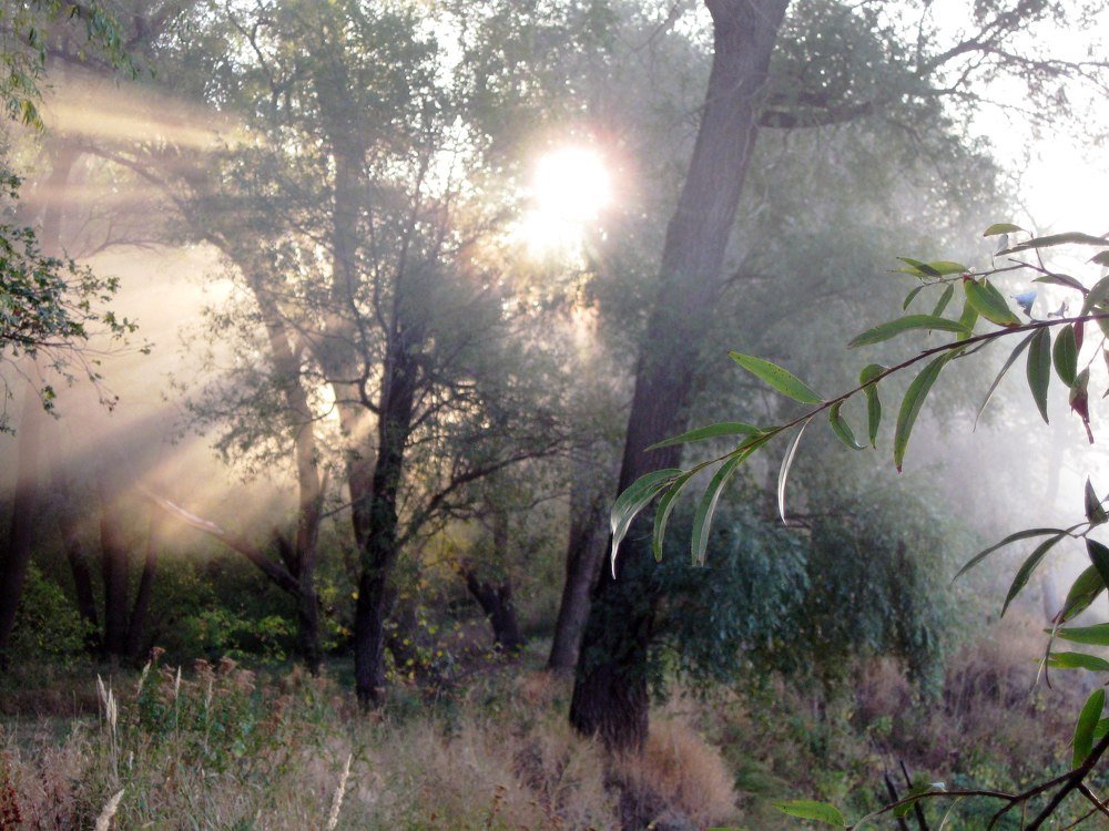 Фотография автора Михаил Назаров