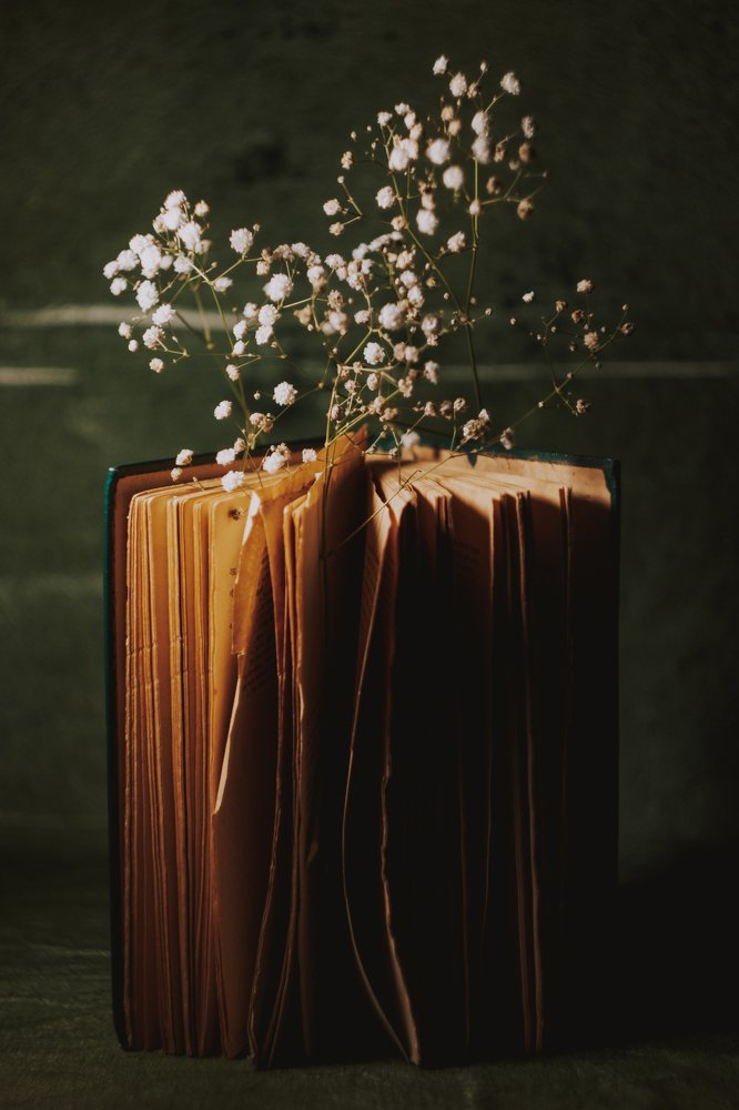 прорастающие слова