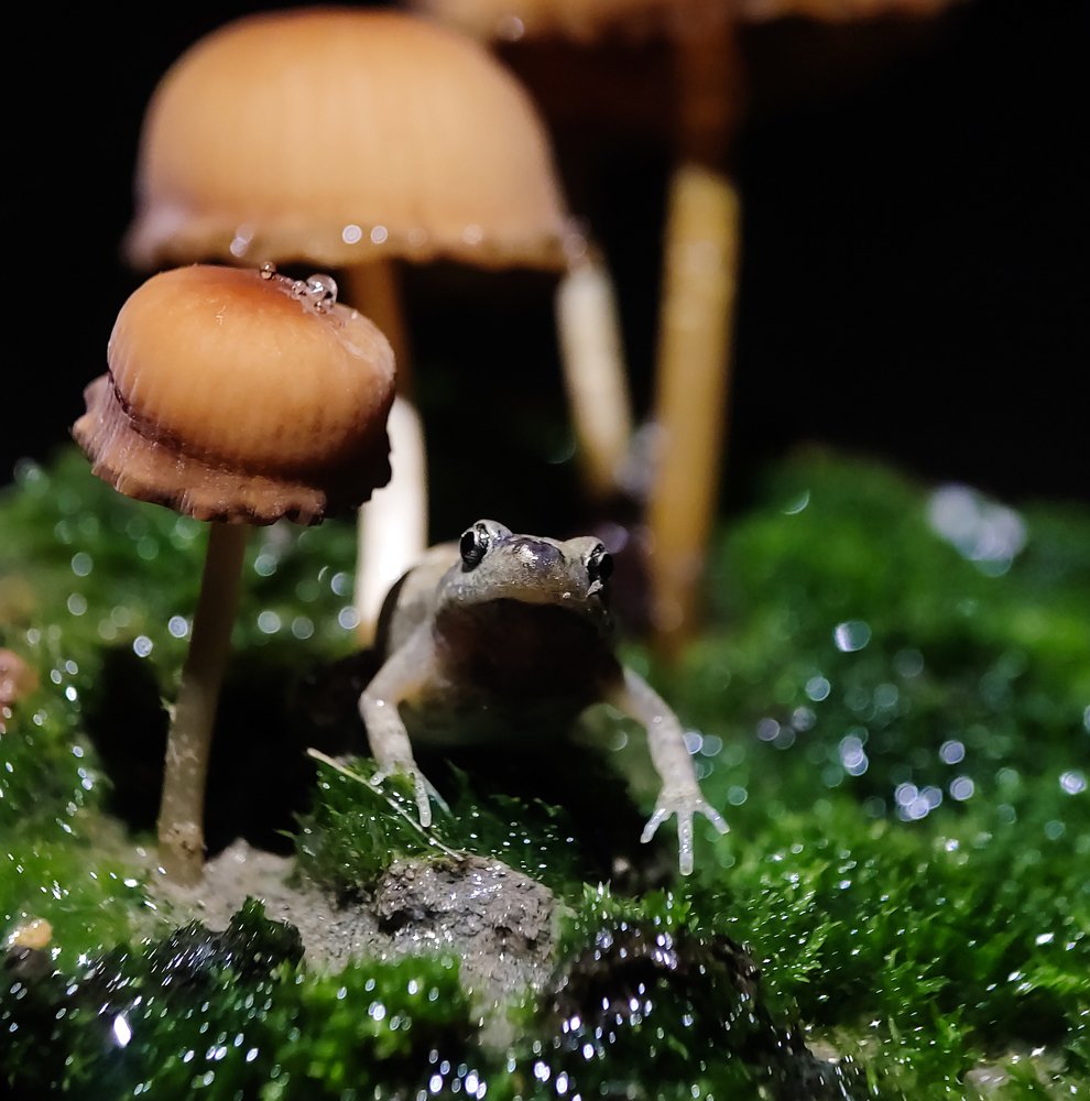 Photograph by Abhishek Manna