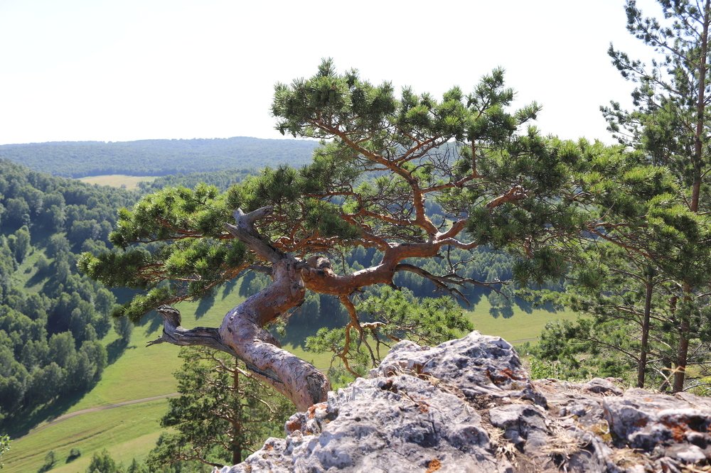 На вершине горы Бужа-Тау