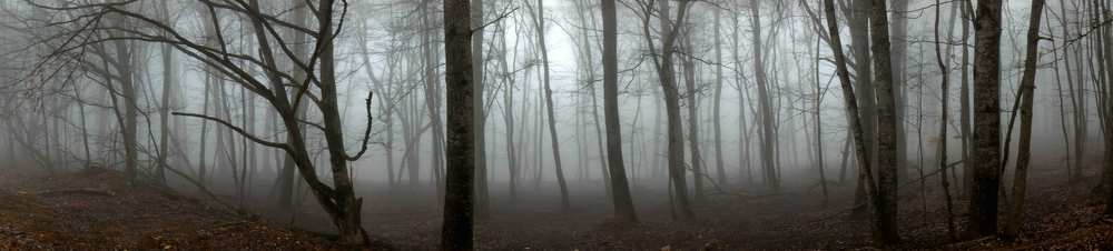 Фотография автора Эрнст Антонов