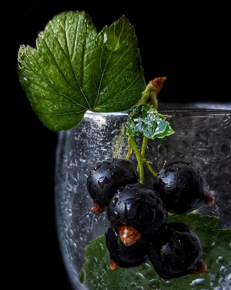 Смородиновый аромат