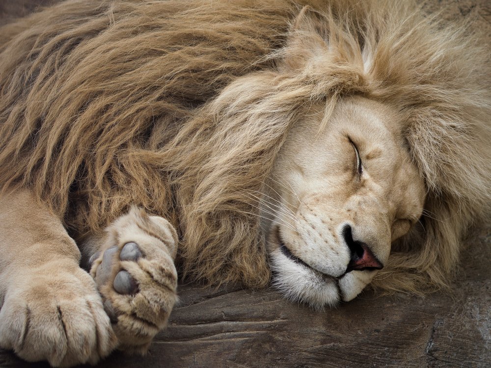 Photograph by Полина Хрол