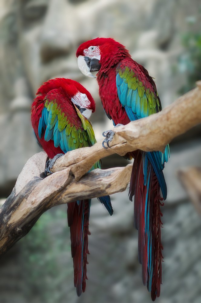 Photograph by Полина Хрол