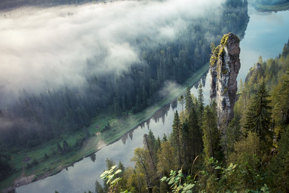 Утренний туман