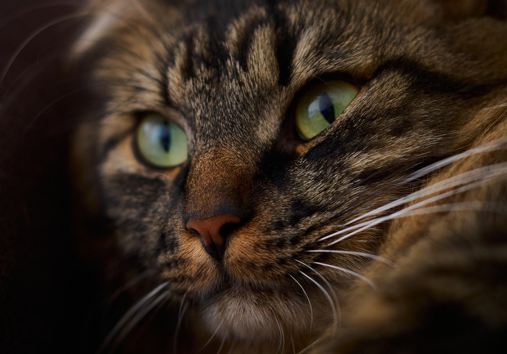 Photograph by Александр Пугачев