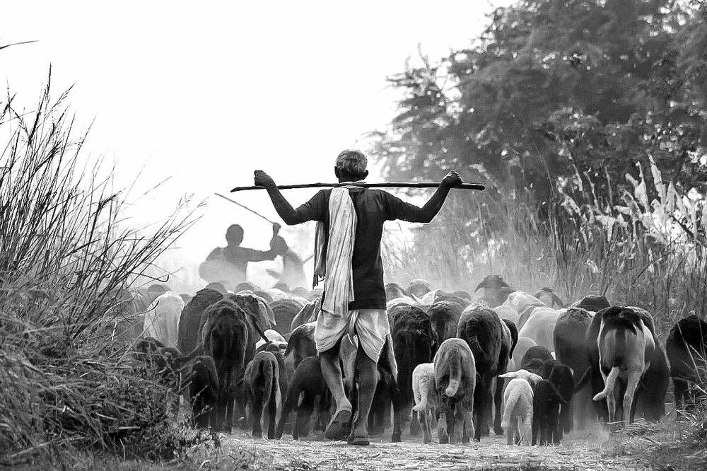 Photograph by Afzalkhan Khan