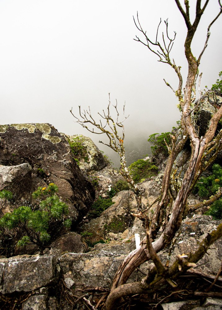 Фотография автора Utathya Roy