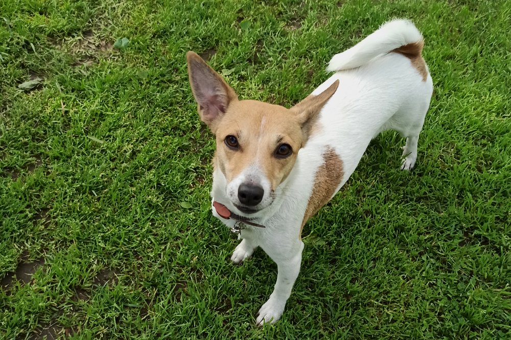 Photograph by Татьяна Мирошникова