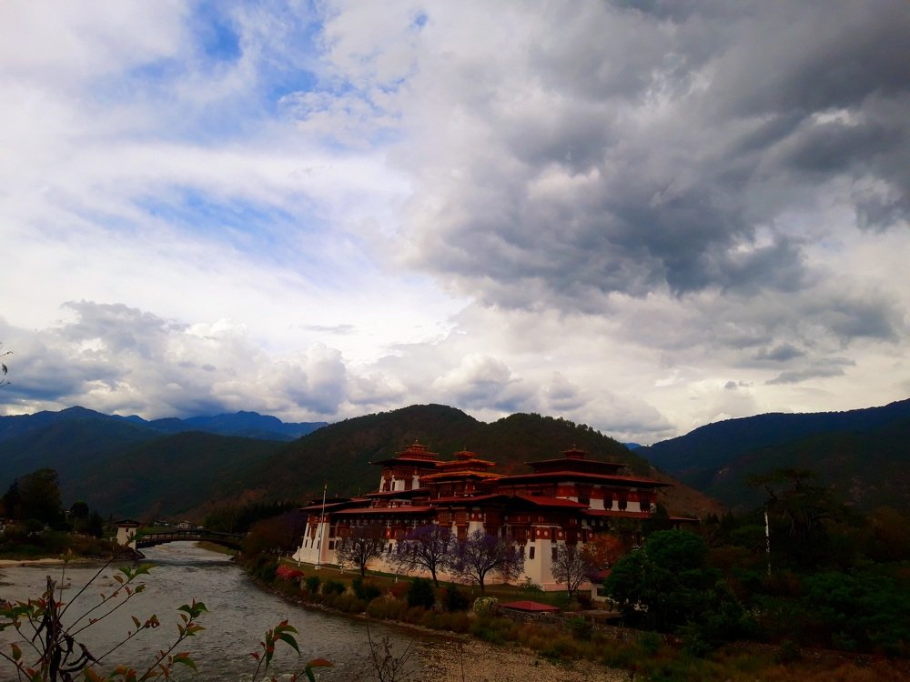 Photo #4686815
