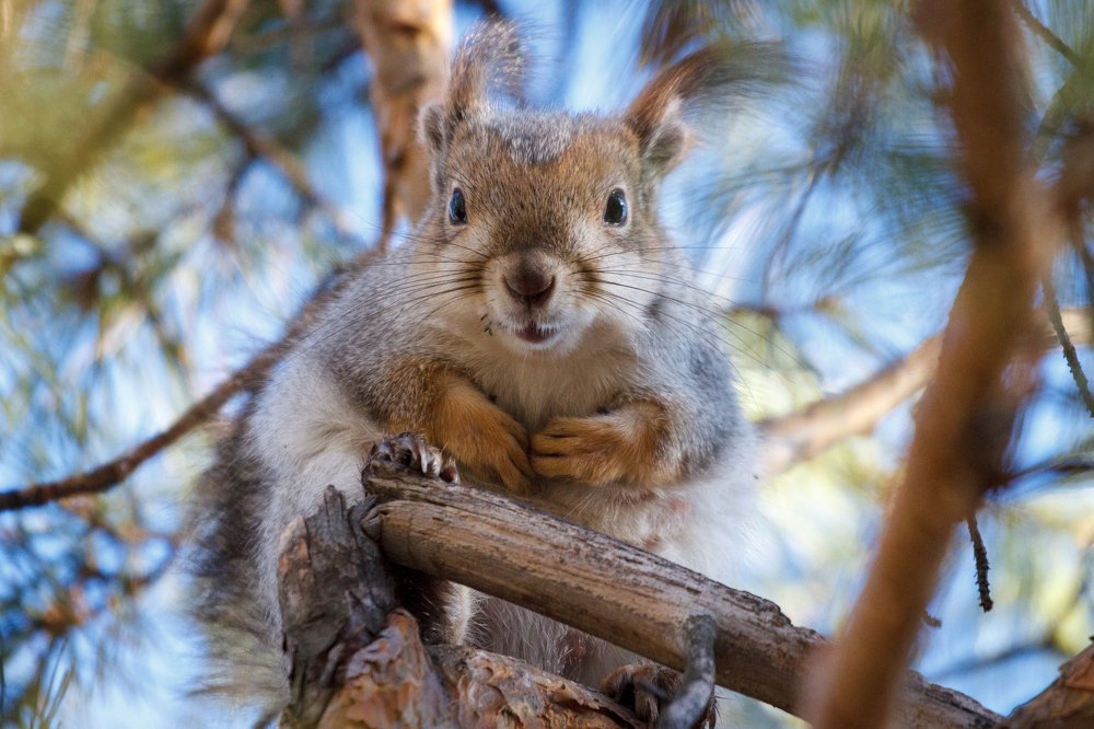 Photograph by Артем