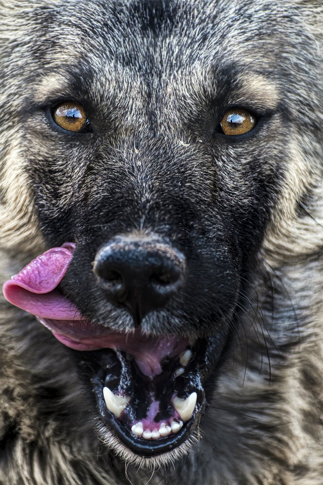 Photograph by Adl Abdolahi